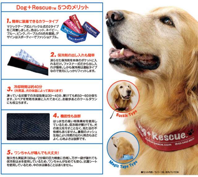 ウランティアのドッグ+レスキューは真夏の高温から愛犬を守ります